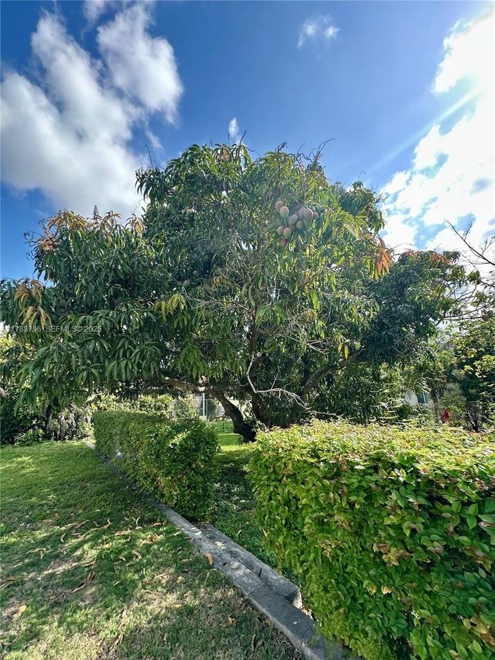 1225 Southwest 11th Avenue #1223 - Photo 5 of 13