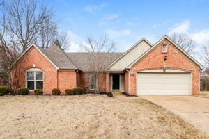 featured image of 8674 Leaf Manor Cv