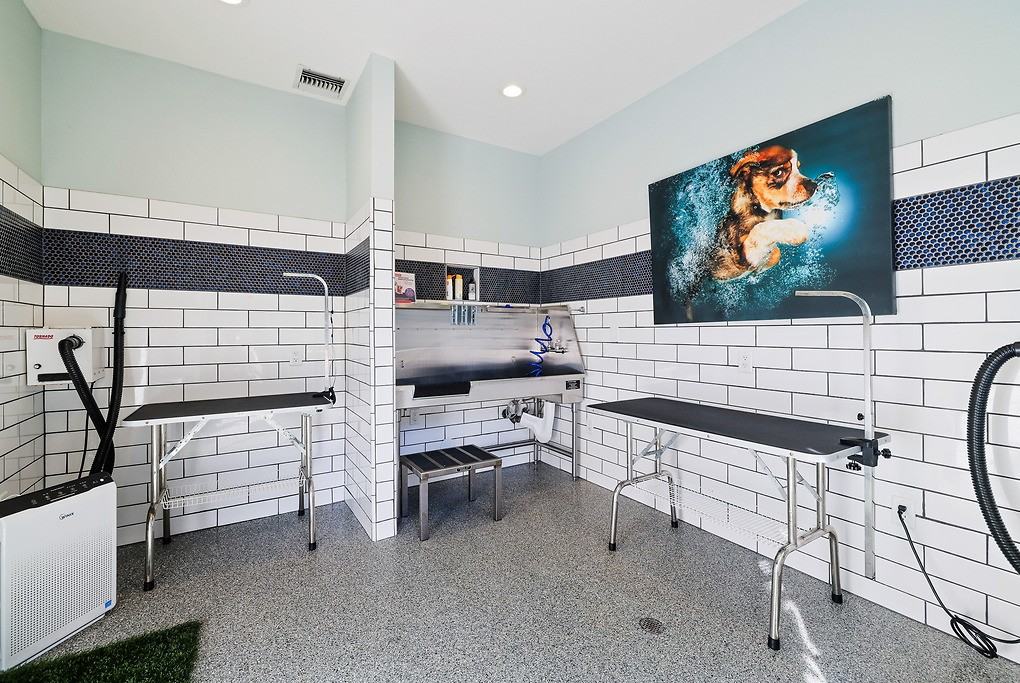 Bristol Commons - Photo 5 of 36