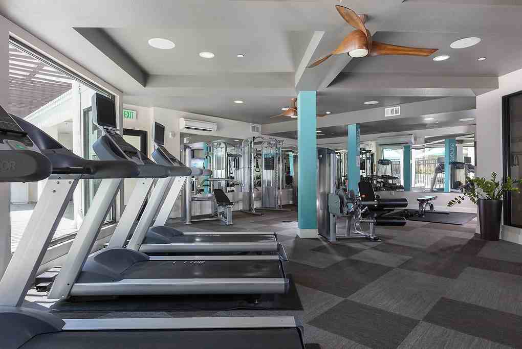 Marquis - Photo 7 of 50