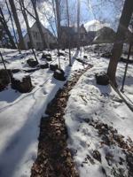 featured image of 2104 Iuka Ave