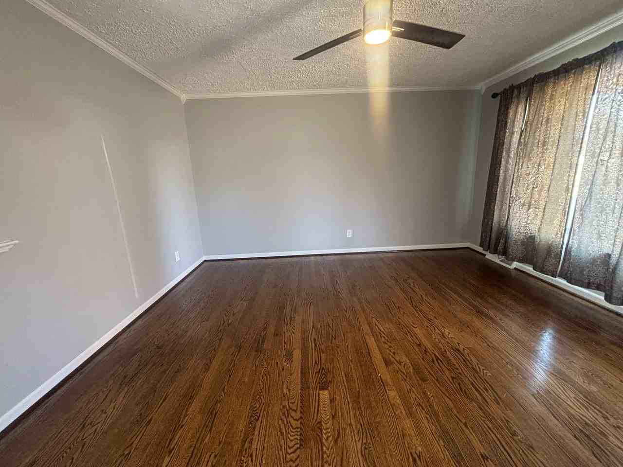 449 Missimer Ln - Photo 5 of 50