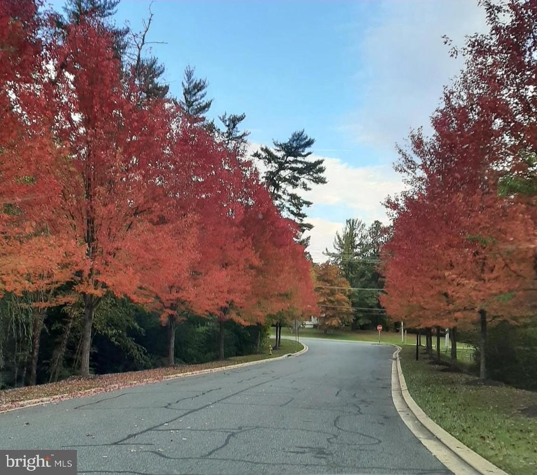 3099 Raking Leaf Dr - Photo 2 of 28