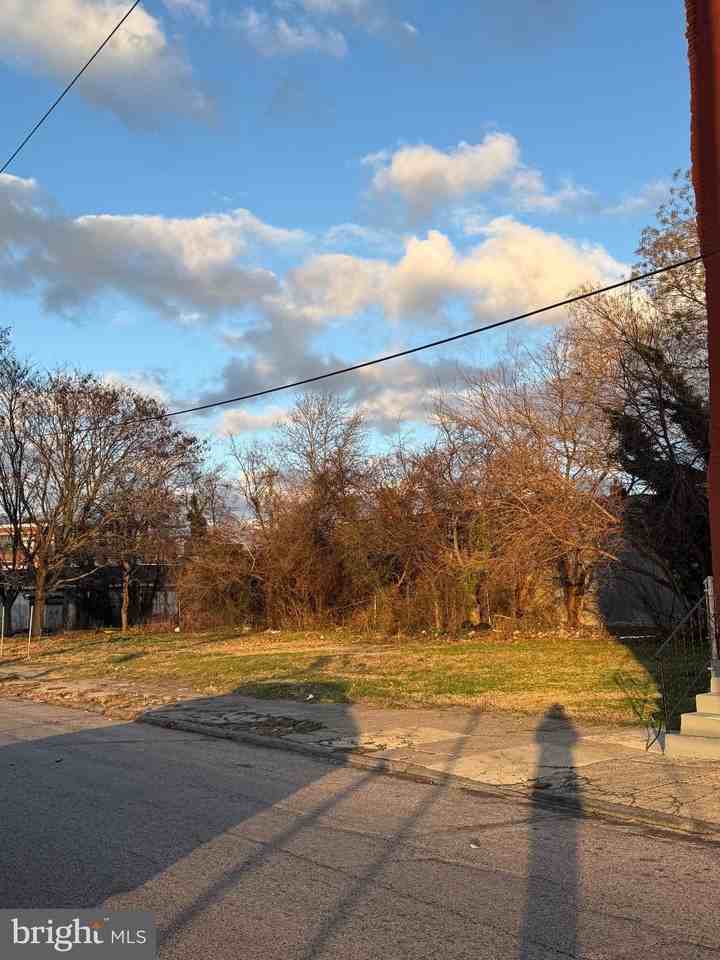 2427 N 10th St Unit B #B - Photo 2 of 24