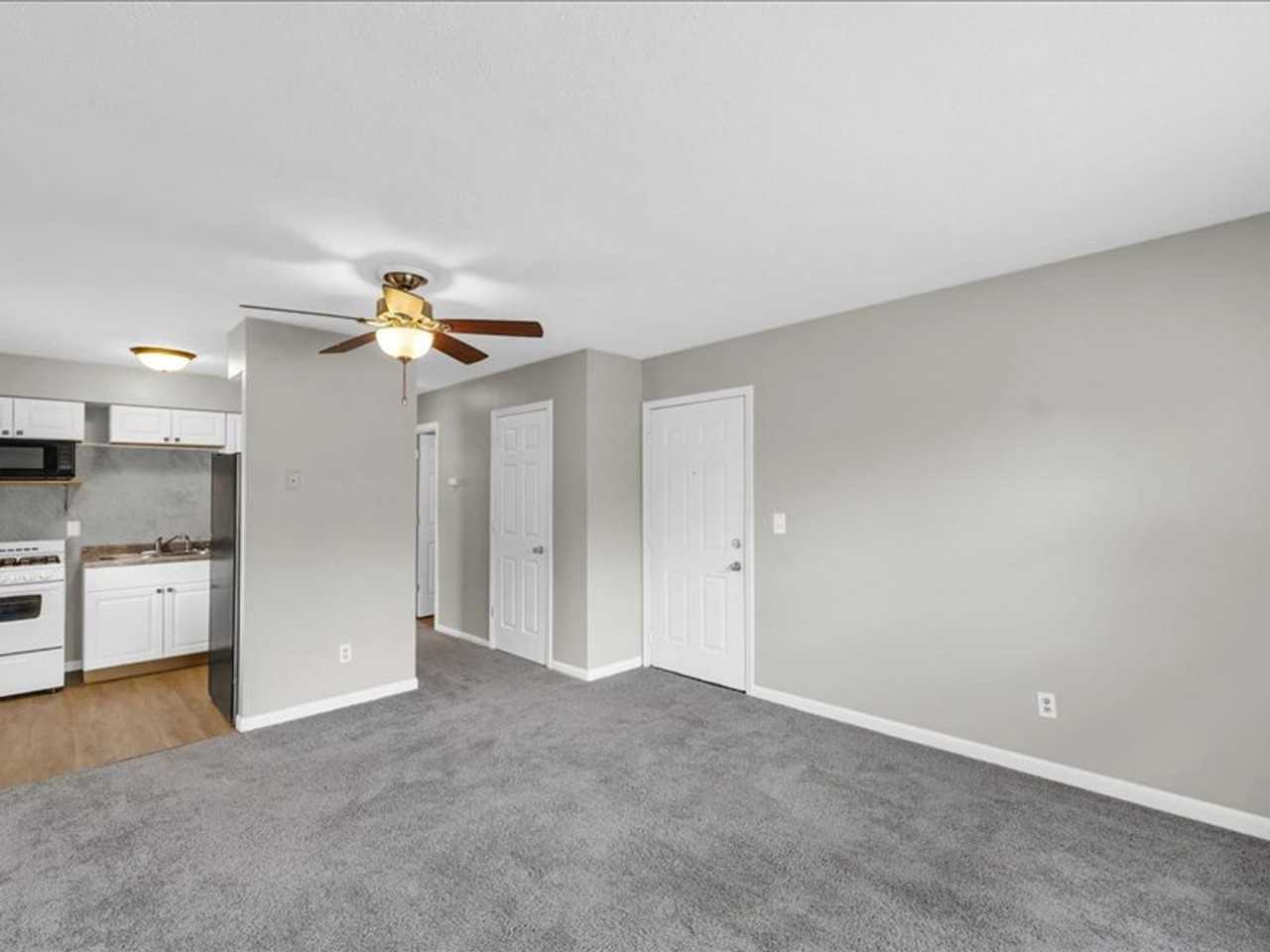 335 Riley Drive - Photo 7 of 14