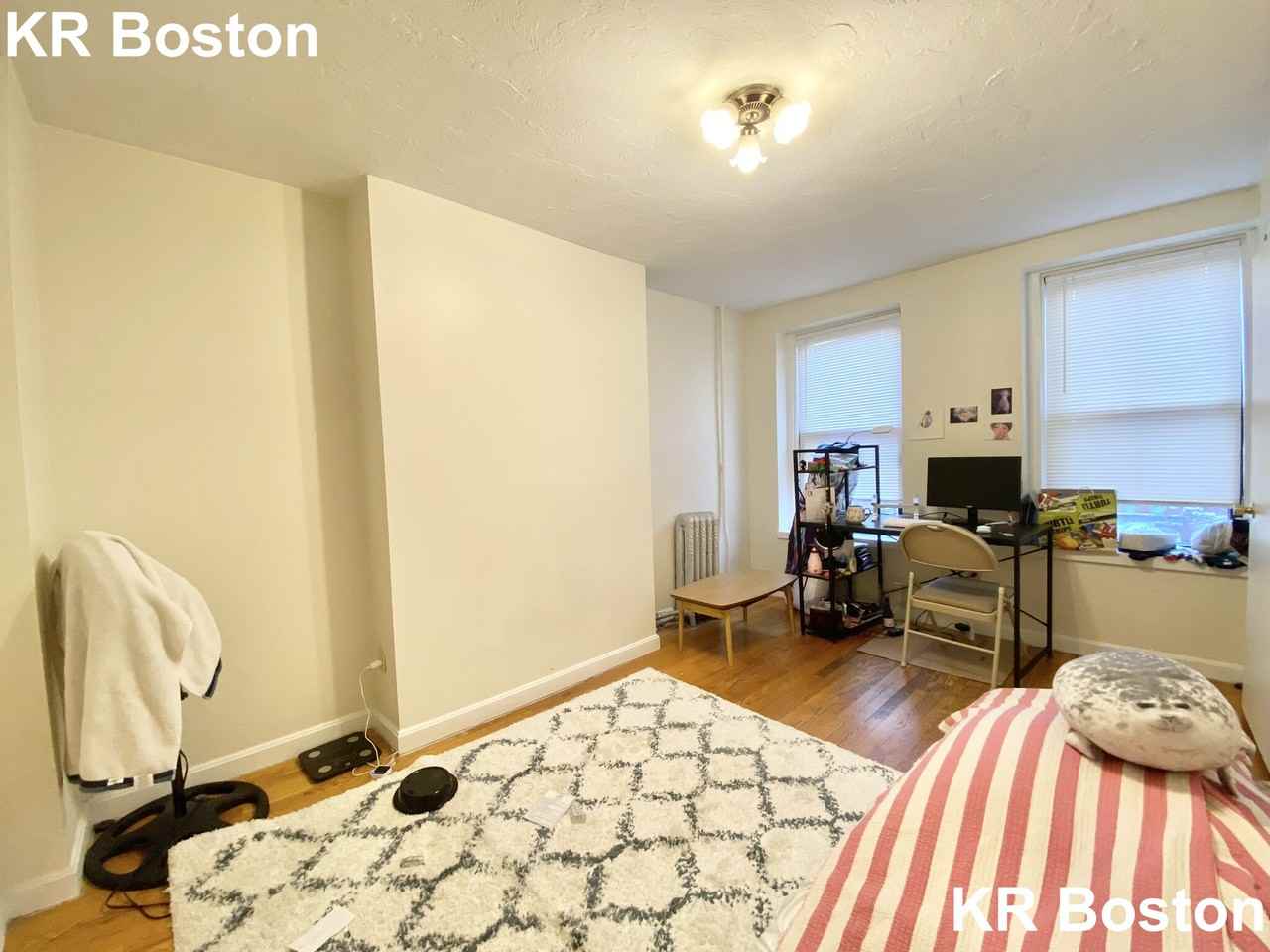 Huntington Ave. & Gainsborough St. #5C - Photo 4 of 47