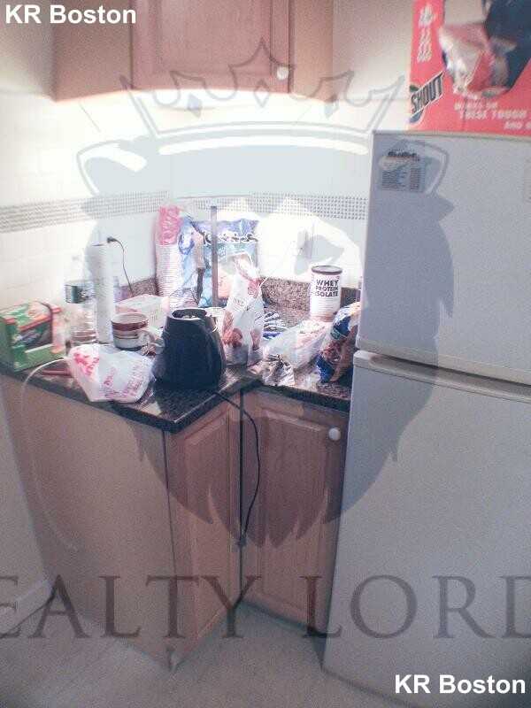 Hemenway St. & Forsyth St #17 - Photo 4 of 15