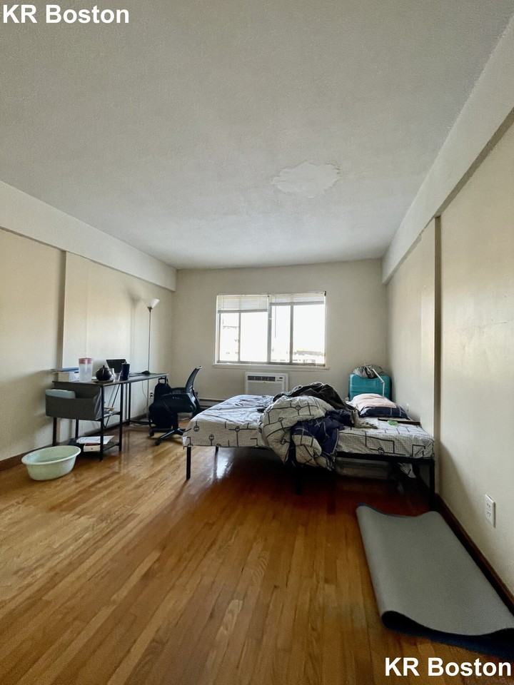 Commonwealth Ave. & Brighton Ave #308 - Photo 3 of 20