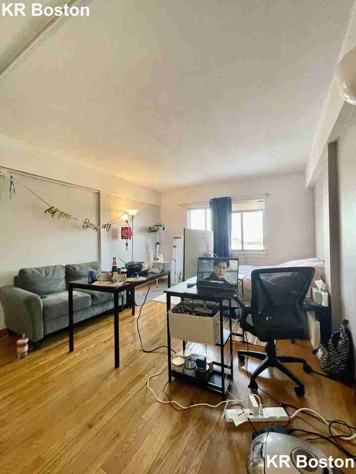 Commonwealth Ave. & Brighton Ave #412 - Photo 4 of 17