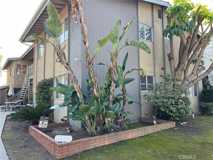 1711 Oxley St #F - Photo 1 of 1