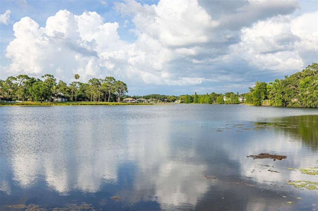 2533 N Habana Pl #2533 - Photo 3 of 38