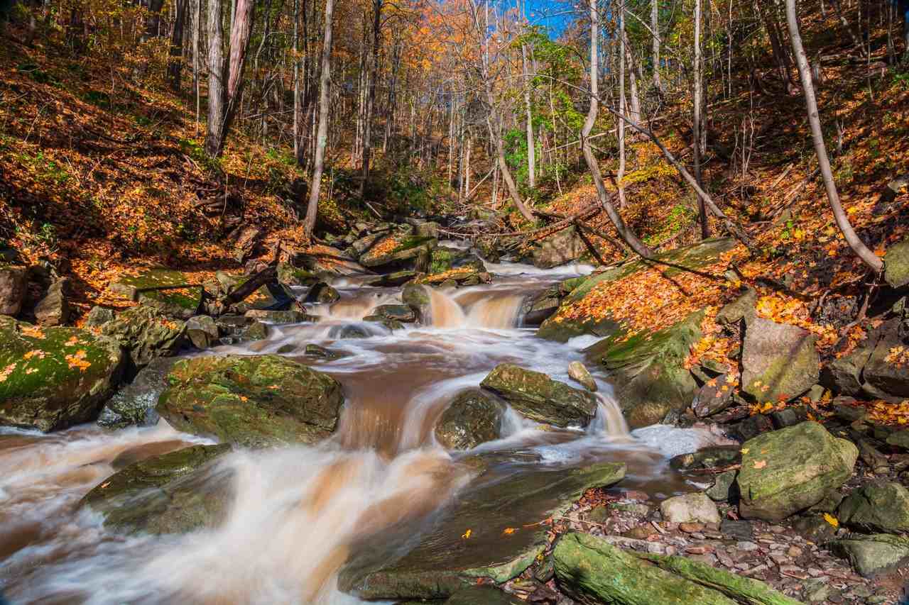 The Grindstone - Photo 2 of 9