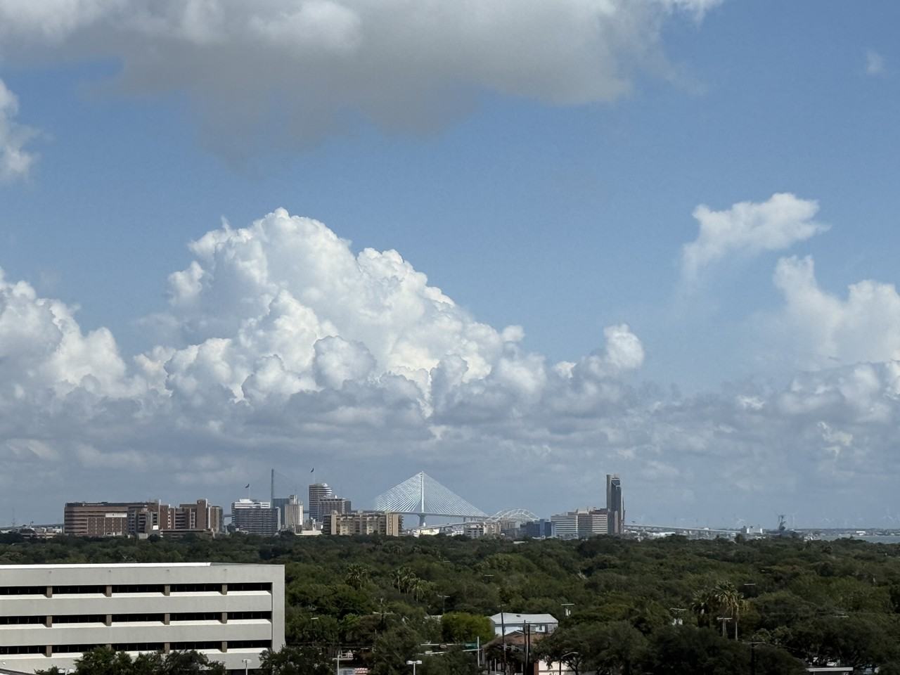 S Alameda St - Photo 4 of 17