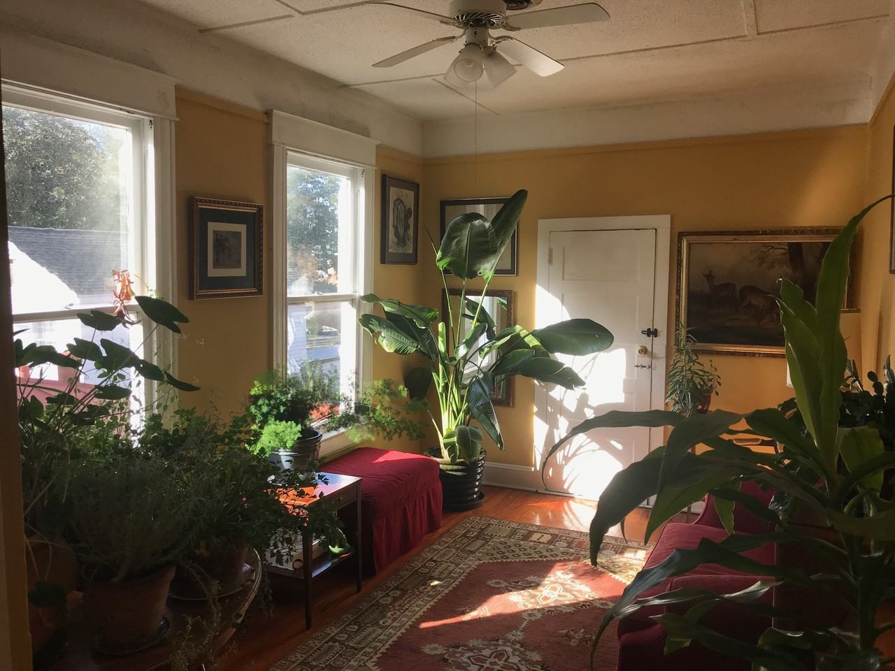 114 S 5th Ave - Photo 4 of 26