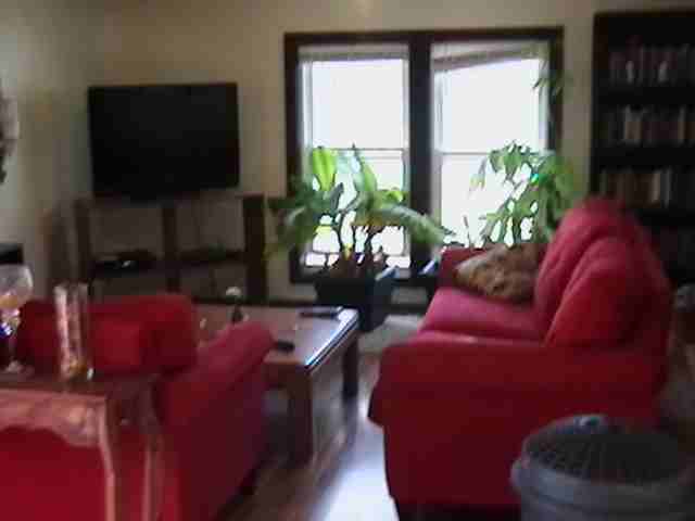 1653 S Olive St #NA - Photo 7 of 14