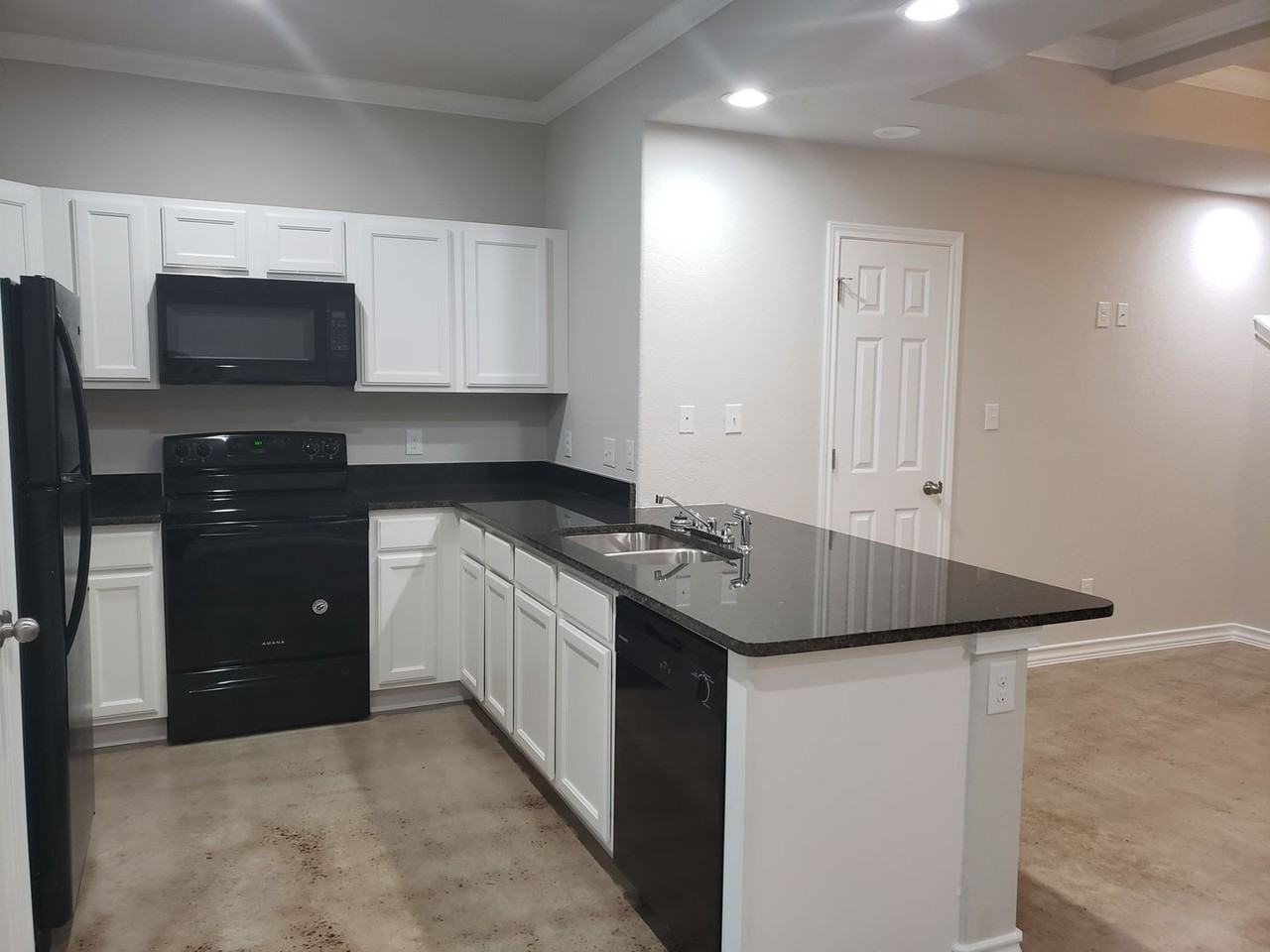 16913 16913 Dancing Ava - 3 #3 - Photo 6 of 16