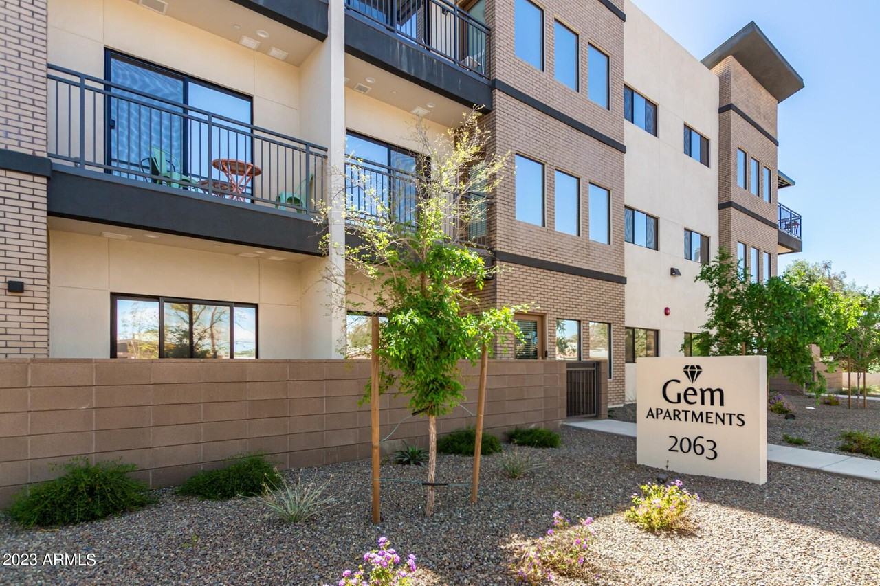 2063 E Lemon St Apt 2004 #2004 - Photo 4 of 25