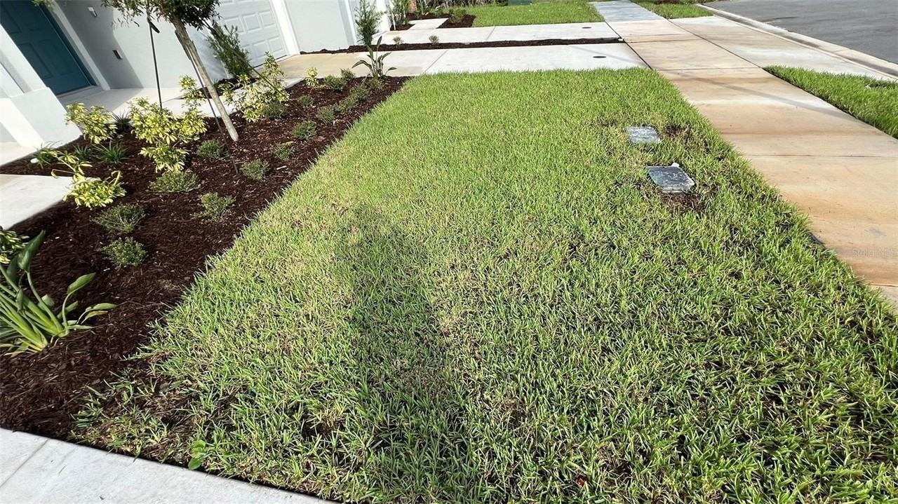 3714 Sepia St - Photo 7 of 48