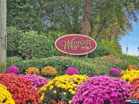 342 Village Ct - Photo 1 of 1