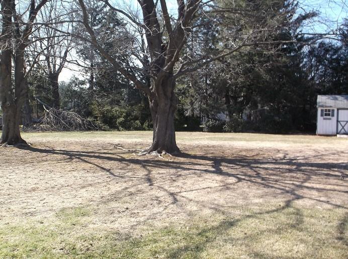 583 Maple St - Photo 2 of 14