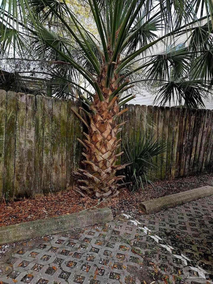 432 Bayfront Pkwy Unit B #B - Photo 4 of 20