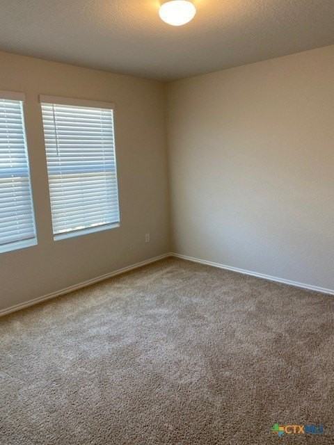 868 Margay Loop - Photo 3 of 22