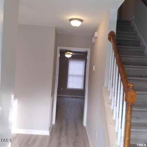 1017 Holmes St - Photo 7 of 11