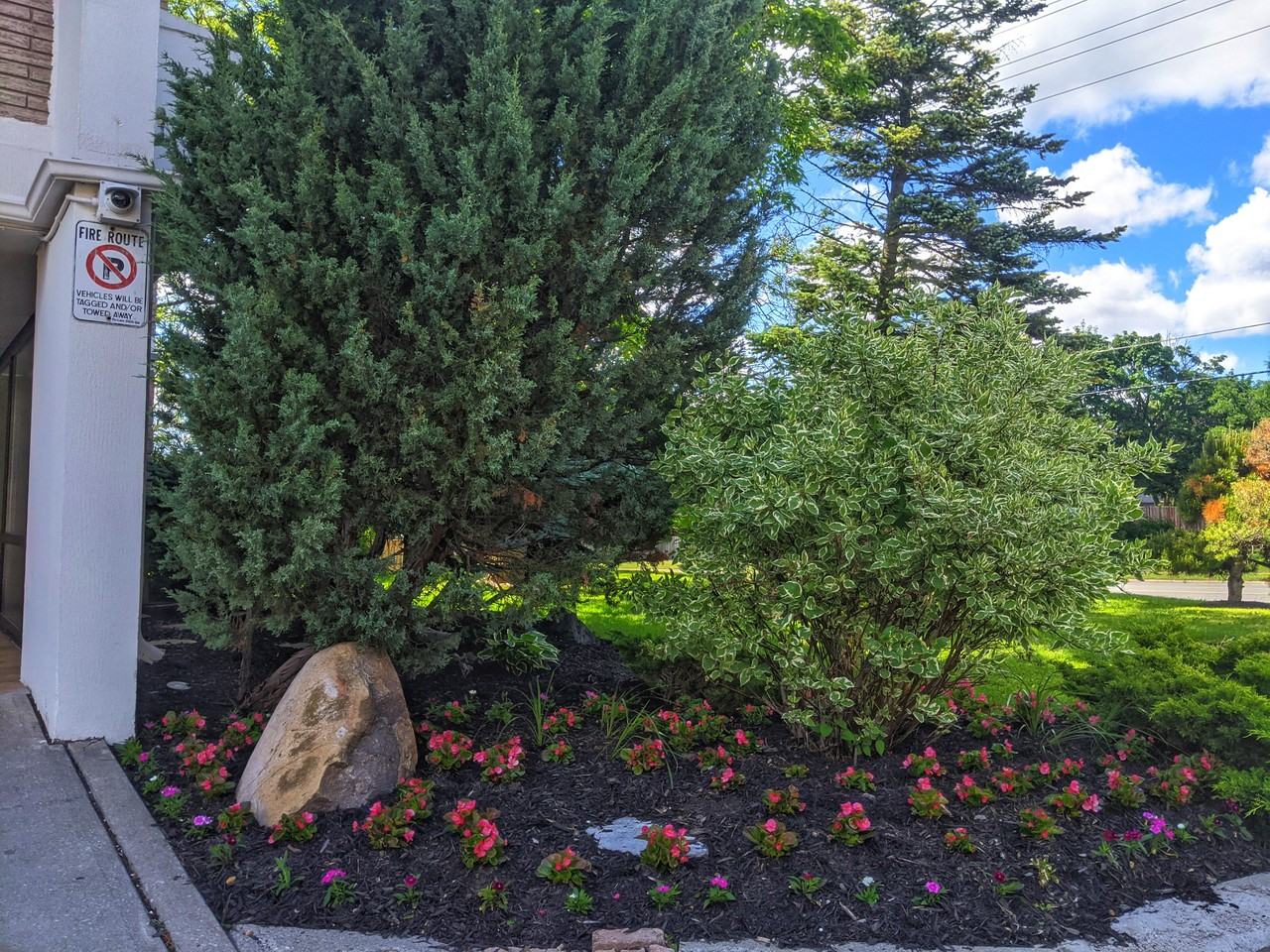 Markham Village - 5667 Hwy 7 - Photo 5 of 8