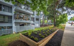 Louise Court Holdings Ltd. - Photo 1 of 1