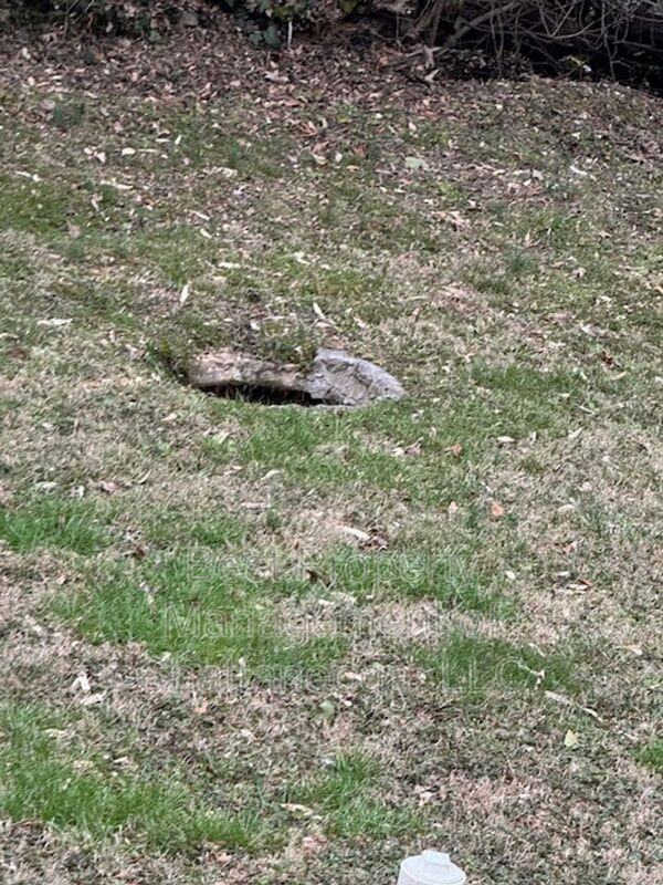 221/223 Vreeland St #223 - Photo 4 of 15