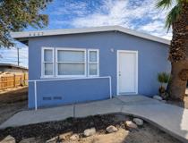 Desert Queen 6667 - Photo 1 of 1