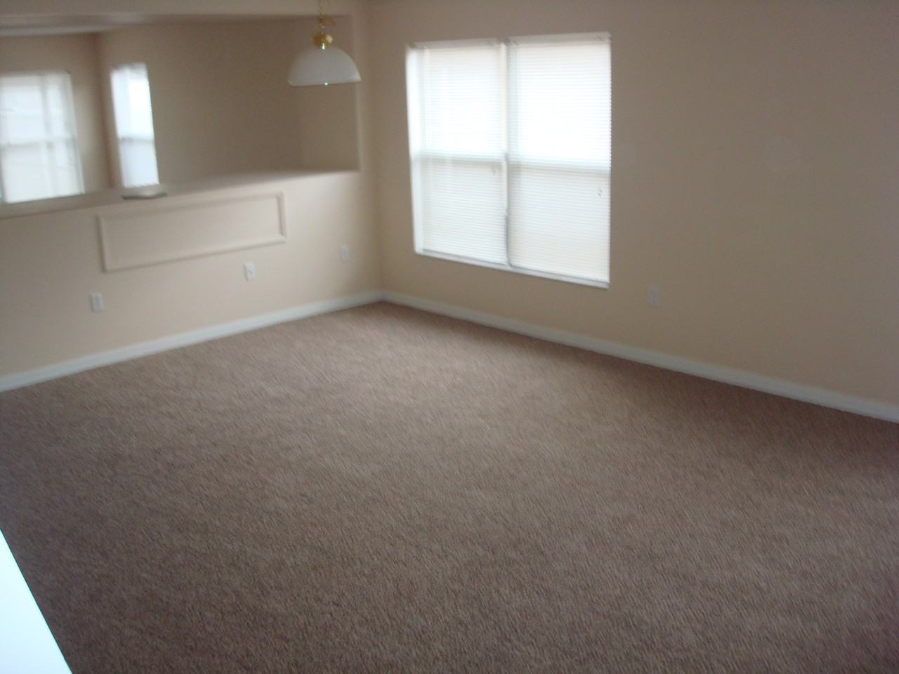 420 Canna Dr - Photo 2 of 21