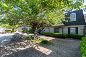 featured image of 203 E Bowie St ##10