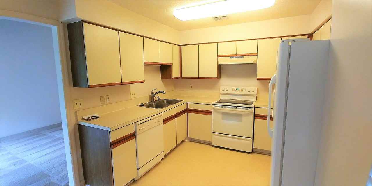 902 Wood Hill Dr - Photo 7 of 11