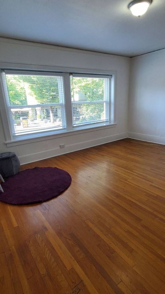 Gainsboro - Photo 6 of 50