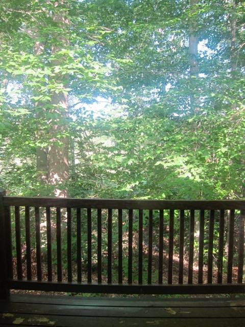 66 Summer St #66 - Photo 7 of 7