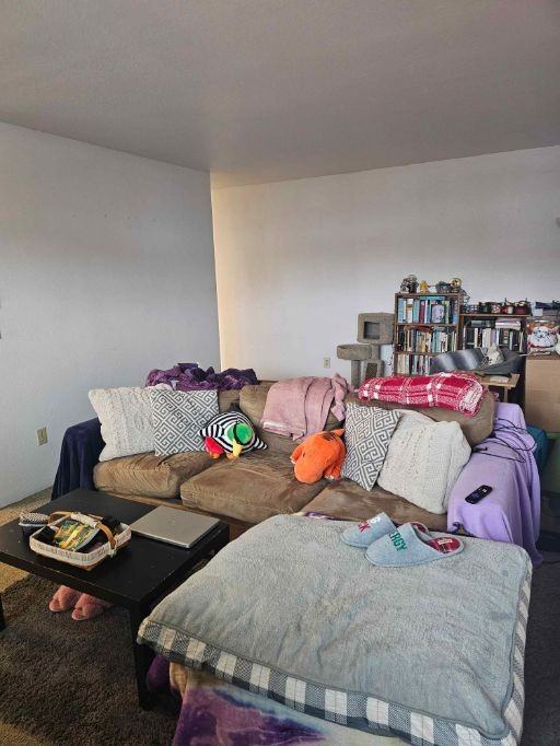 1615 S Levick St #4 - Photo 5 of 15