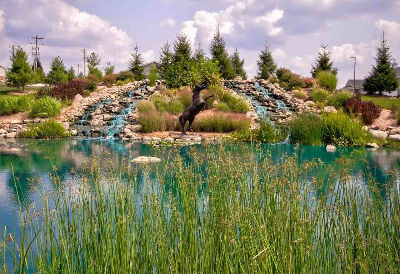 Tippe River Downs - Photo 2 of 50