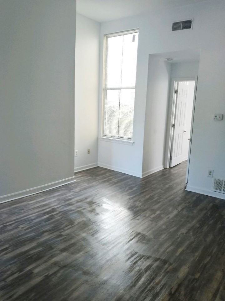 Gilbert - Photo 3 of 9