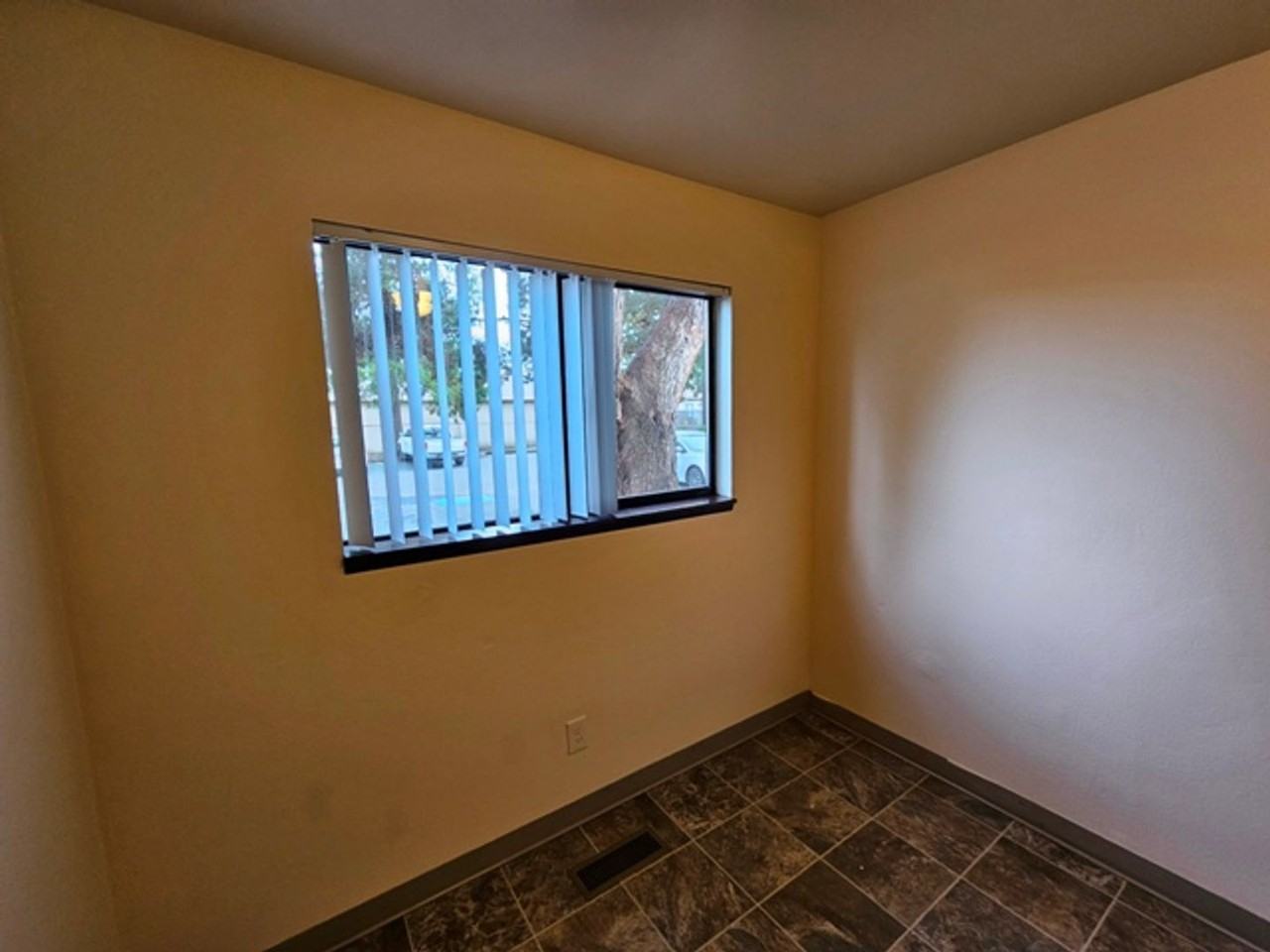 srsl01* - Photo 6 of 17