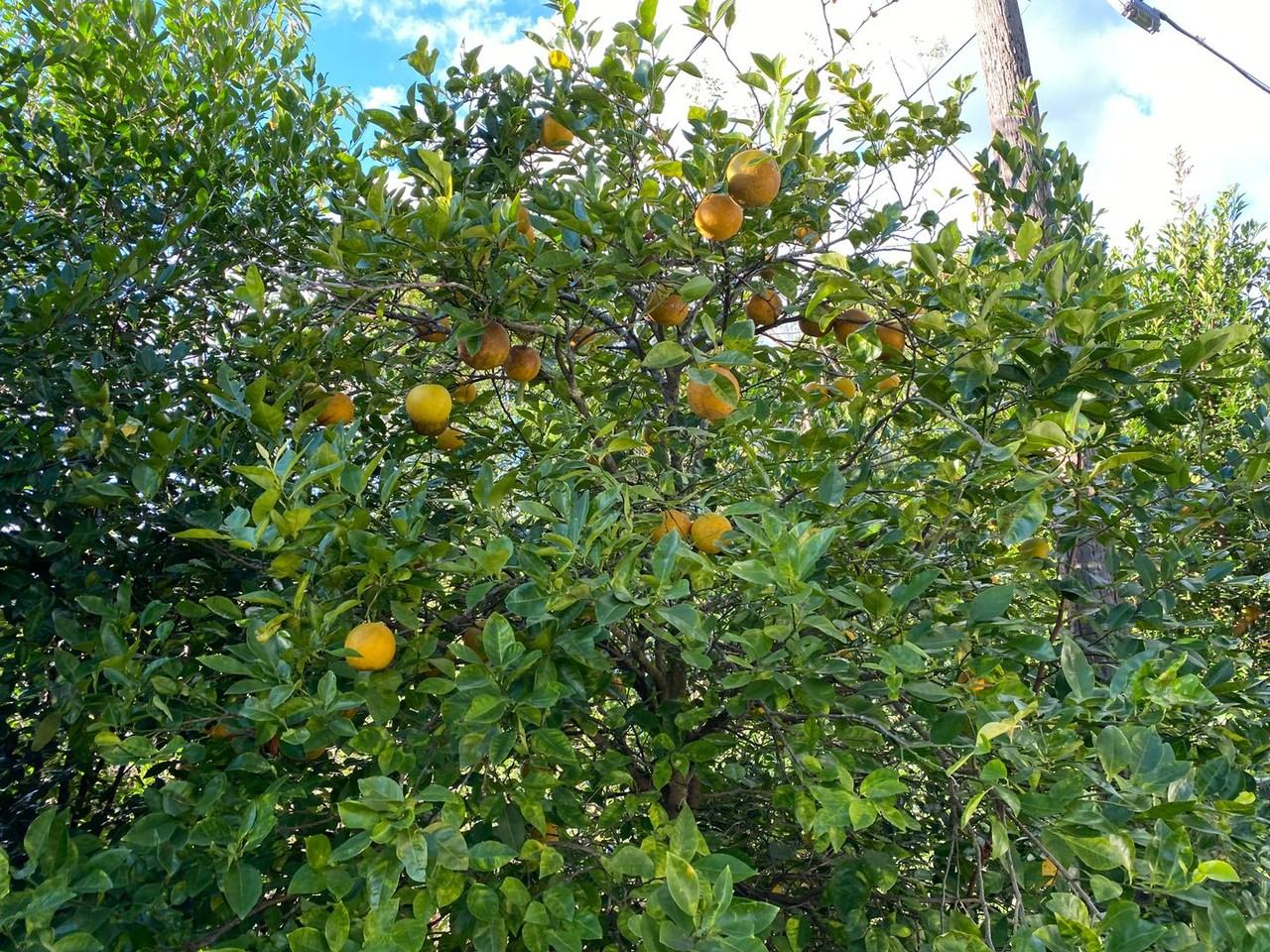 1546 Falmouth Ave - Photo 3 of 16