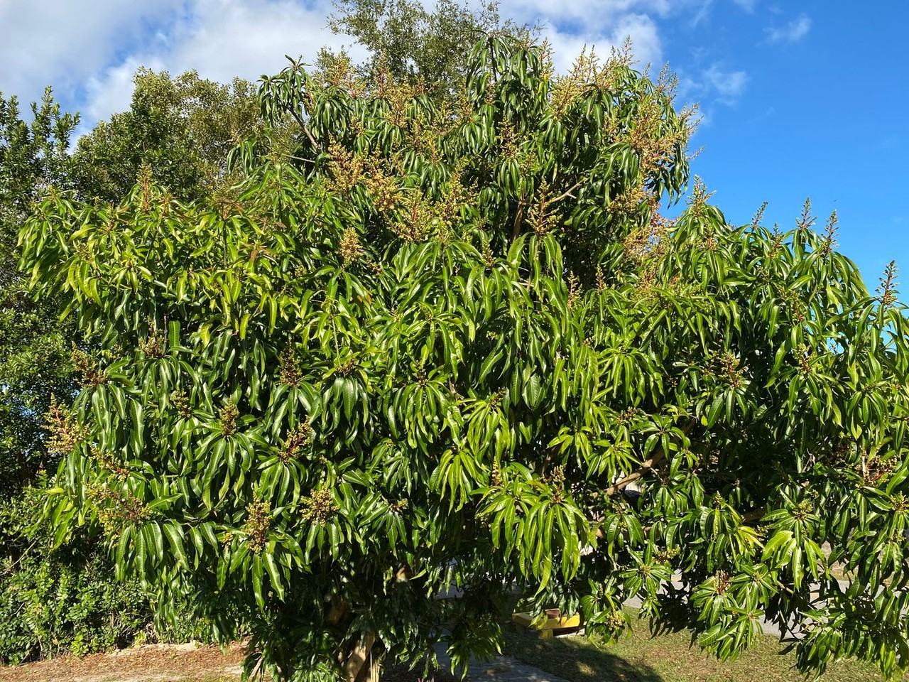 1546 Falmouth Ave - Photo 4 of 16