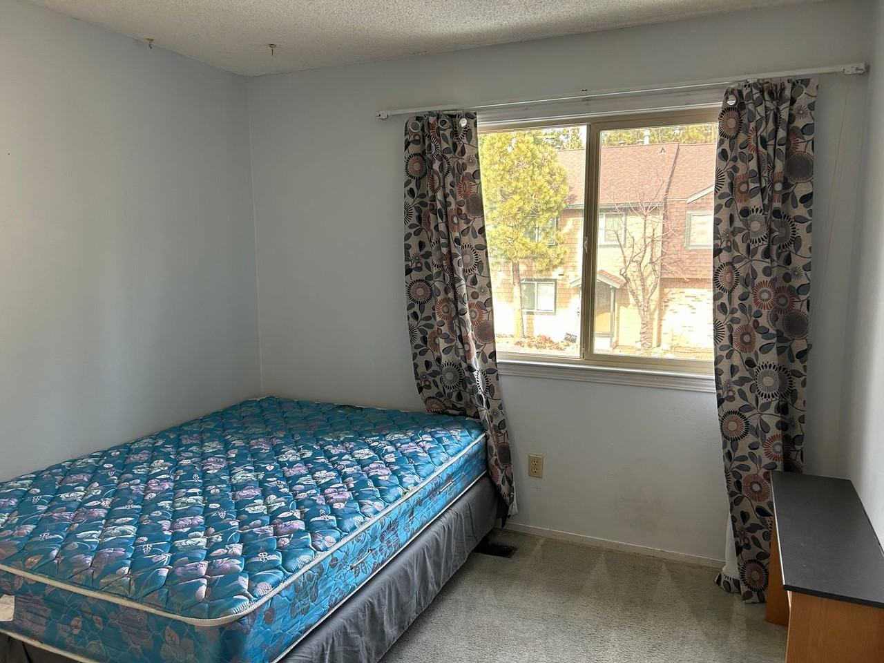 3101 Lake Forest Rd #186 - Photo 6 of 11