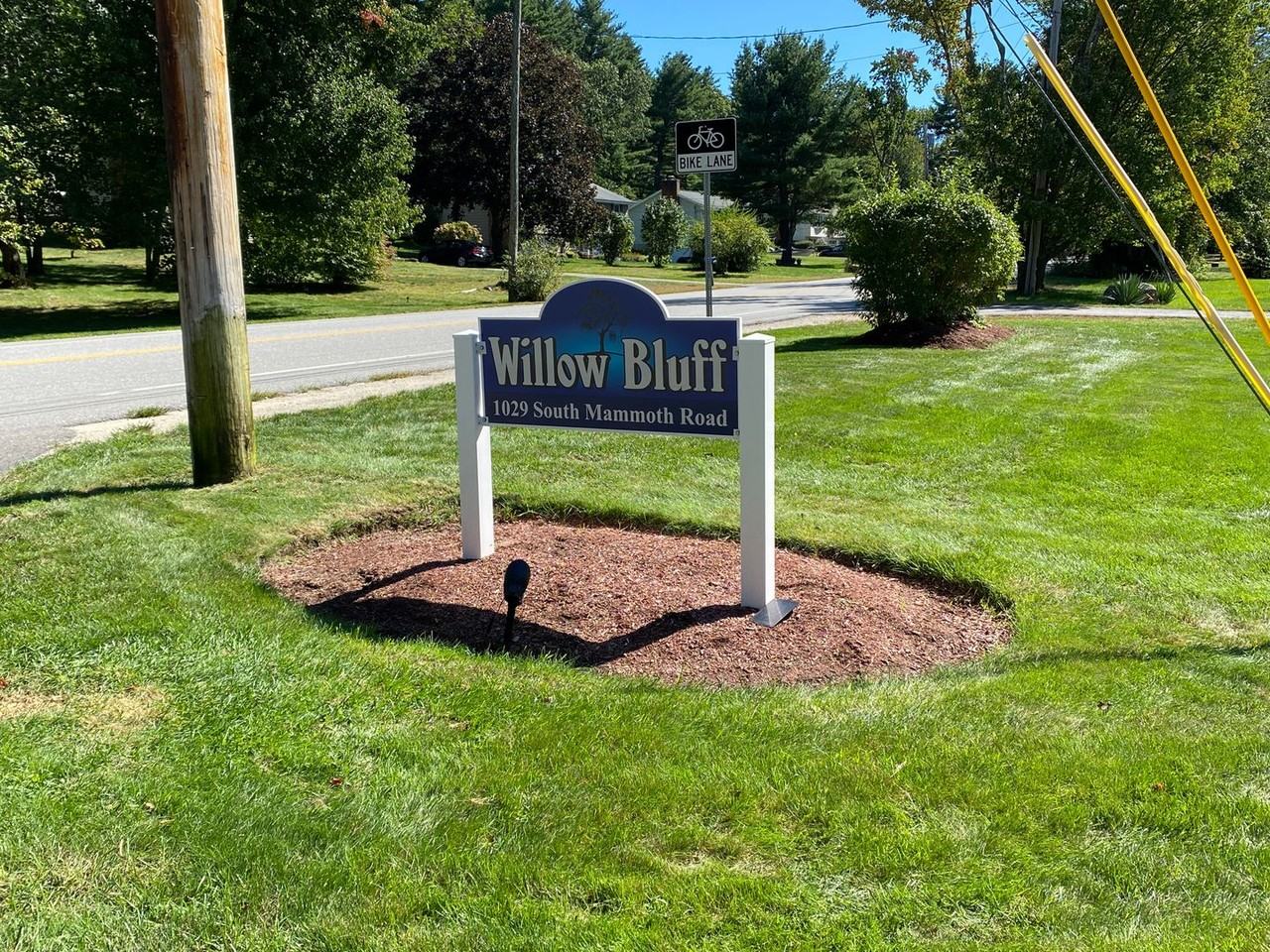 1029 S Mammoth Rd #38 - Photo 2 of 16