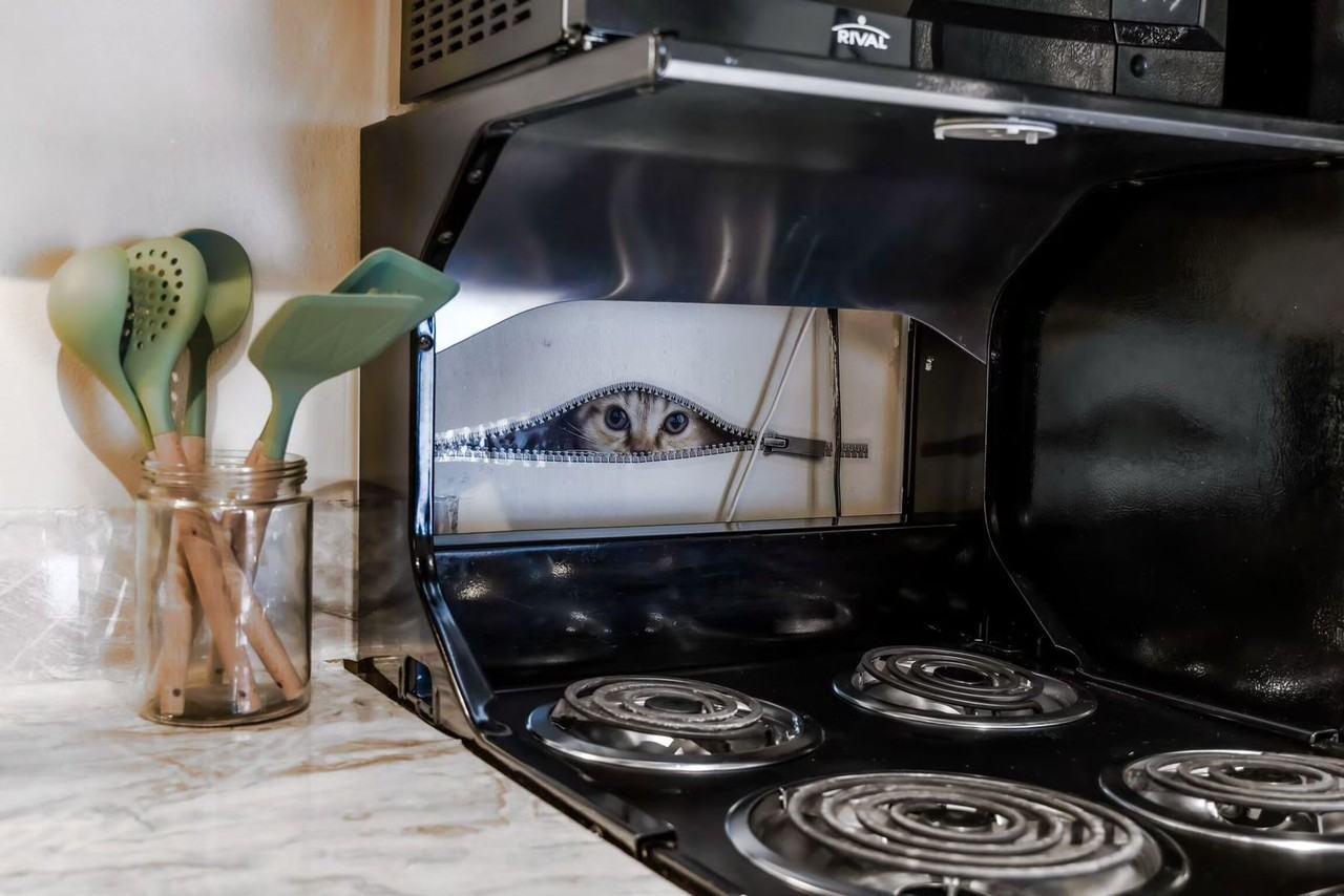 2255 Sidewinder Dr - Photo 7 of 28