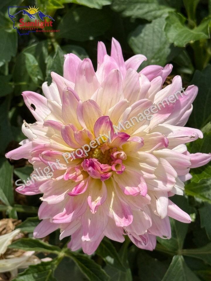 15 Applewood Dr - Photo 4 of 27