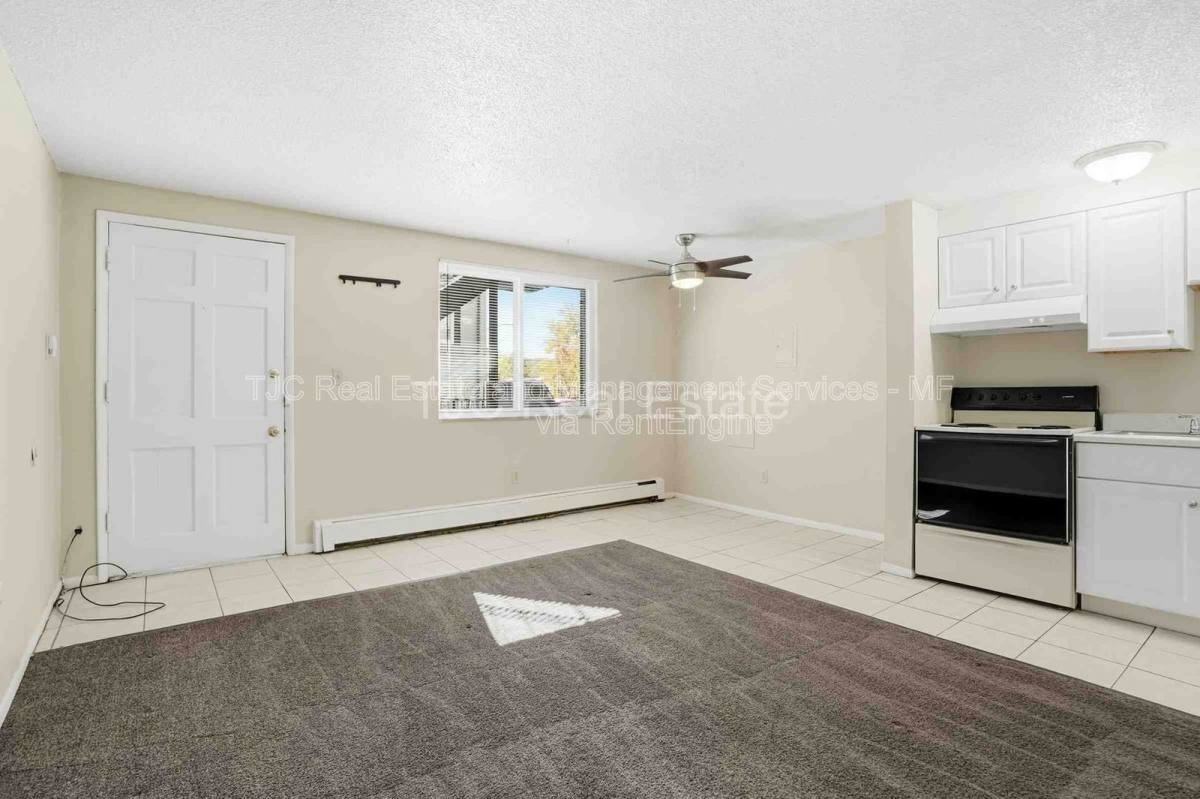 1138 N Corona St - Photo 4 of 10