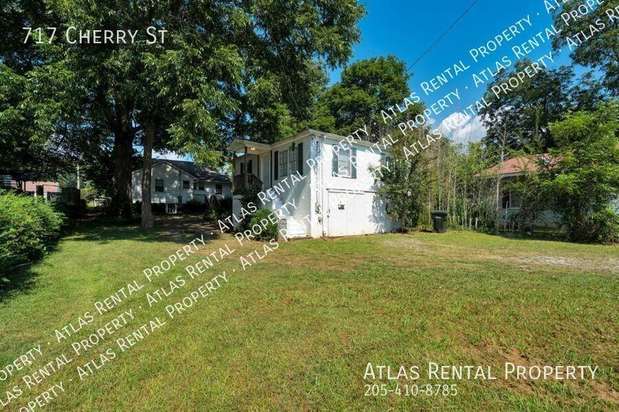 717 Cherry St - Photo 3 of 20