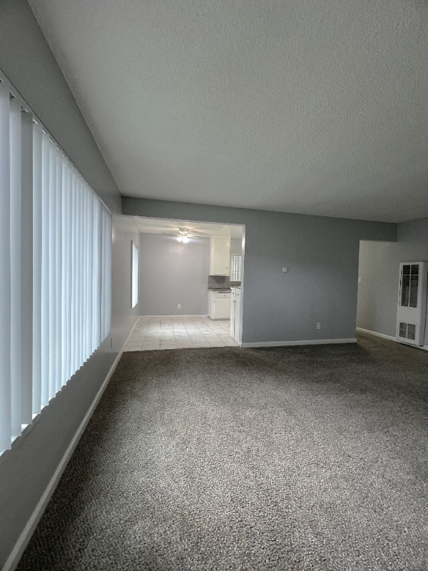 319 N Bush St #1 - Photo 6 of 12