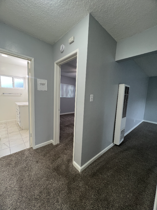 319 N Bush St #1 - Photo 7 of 12